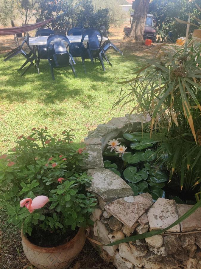 Chez Rothman Sublet Apartment Shadmot Devora Exterior foto